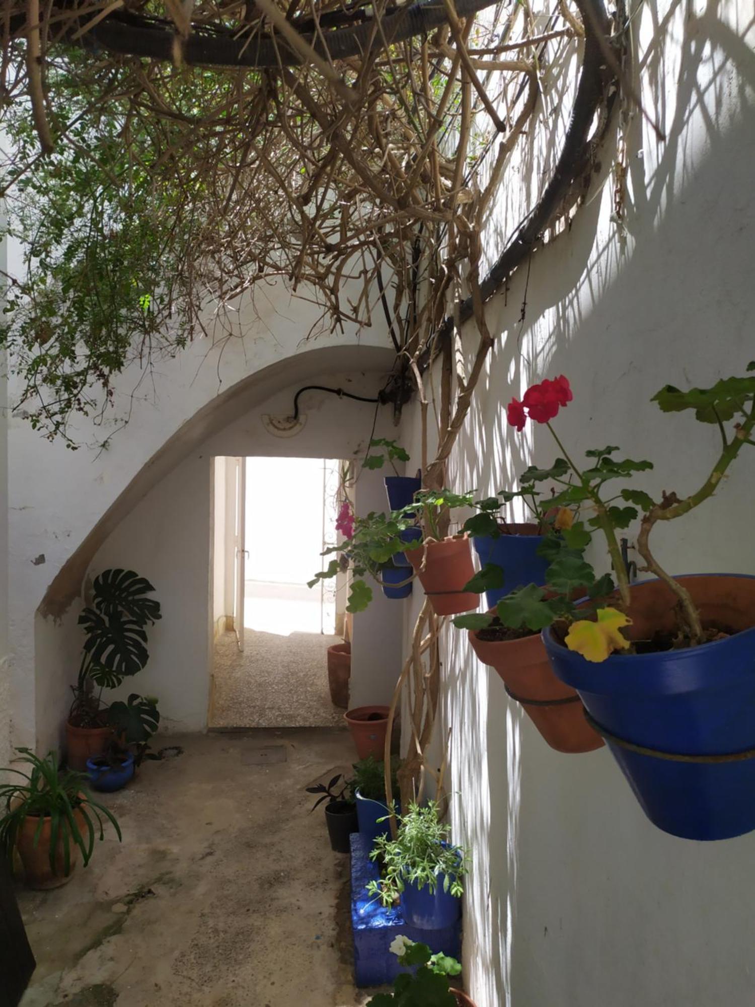 Azotea Vistas A 5M De La Playa. Recien Restaurado Daire Conil De La Frontera Dış mekan fotoğraf